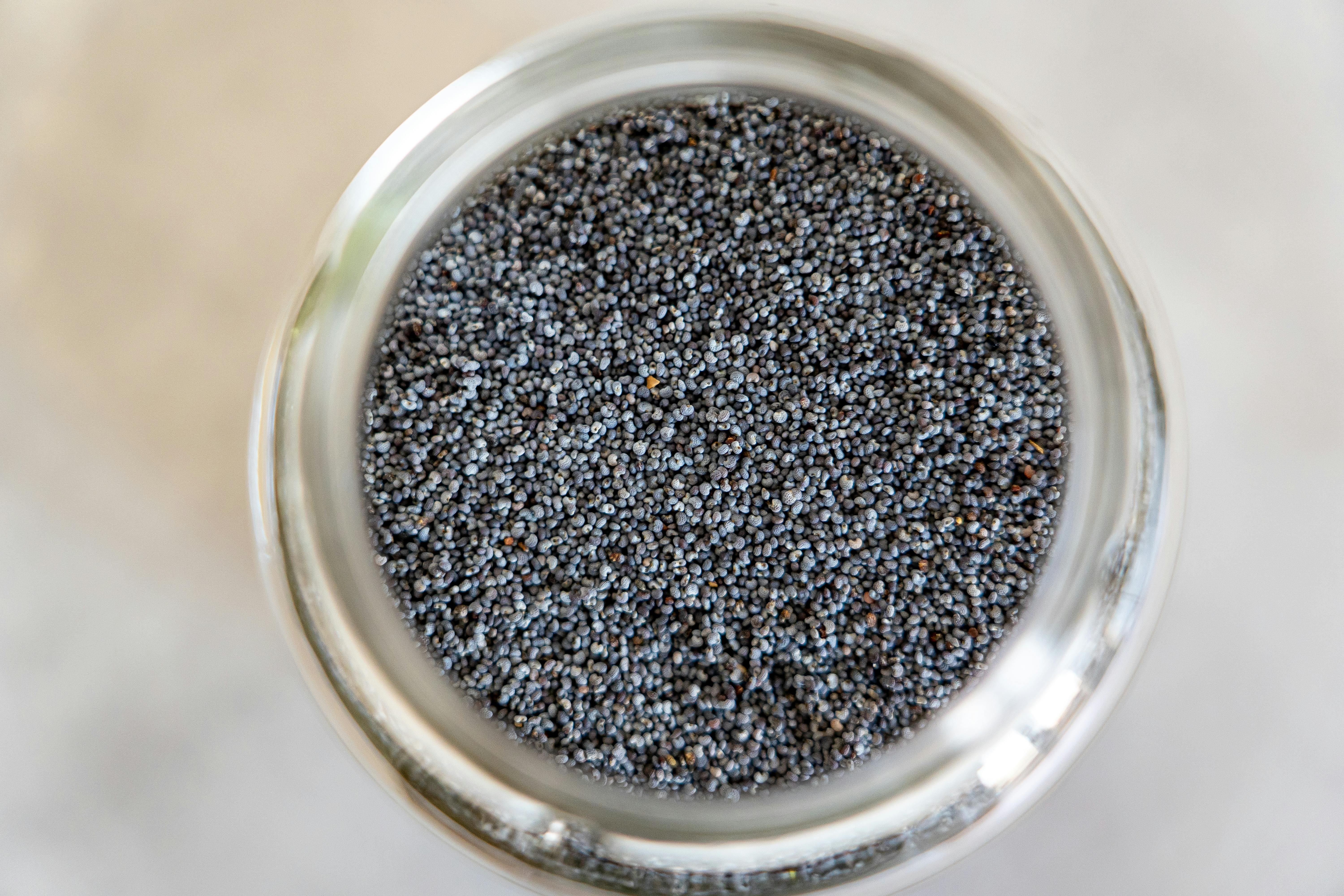 Nutrient-Rich Chia Seeds